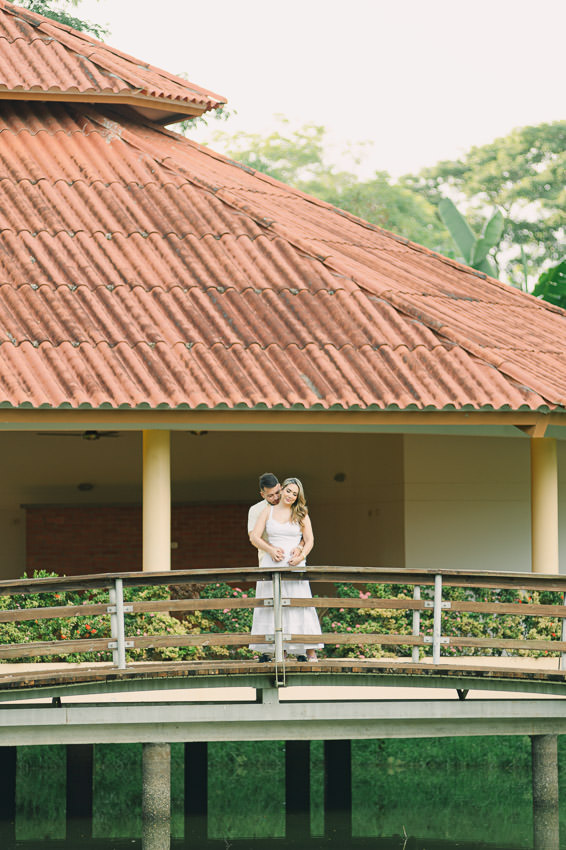 Descripción de la imagen 16